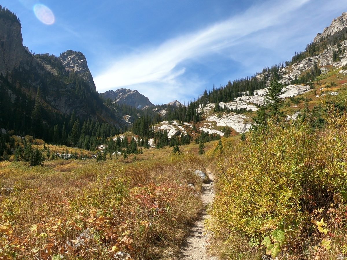 Jesienne kolory w Paintbrush Canyon