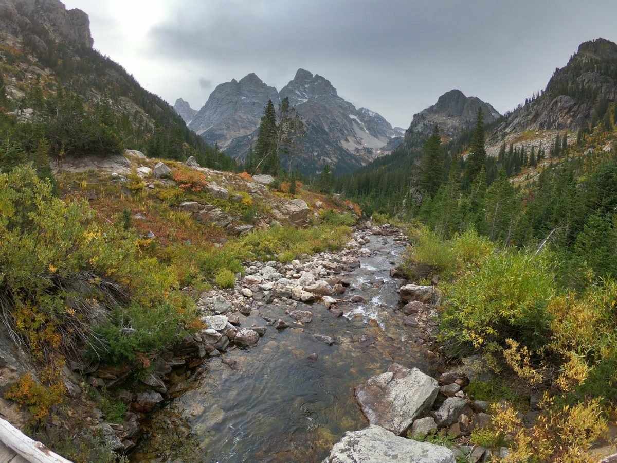 Strumień w Cascade Canyon