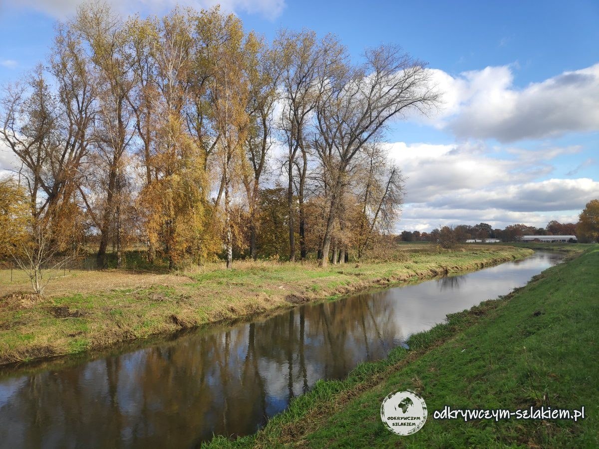 Der Fluss Krzna in Biała Podlaska mit herbstlichen Bäumen am Ufer