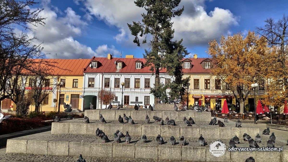 Der Freiheitsplatz in Biała Podlaska mit bunten Bürgerhäusern und herbstlichen Bäumen
