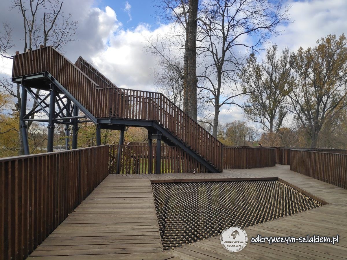 Holzsteg auf Stelzen mit Treppen zwischen den Bäumen in Biała Podlaska