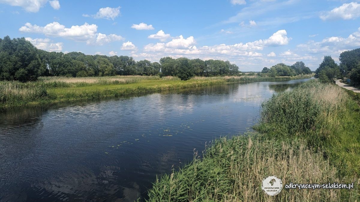 Der Narew in Tykocin mit Schilf und Wiesen an den Ufern