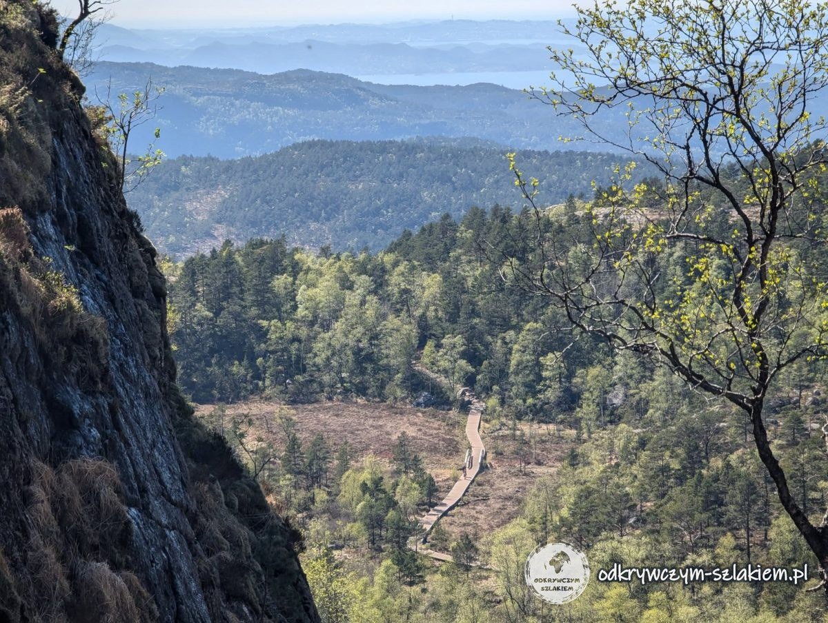 Vista desde el sendero a Preikestolen de colinas boscosas y un valle en el camino de vuelta