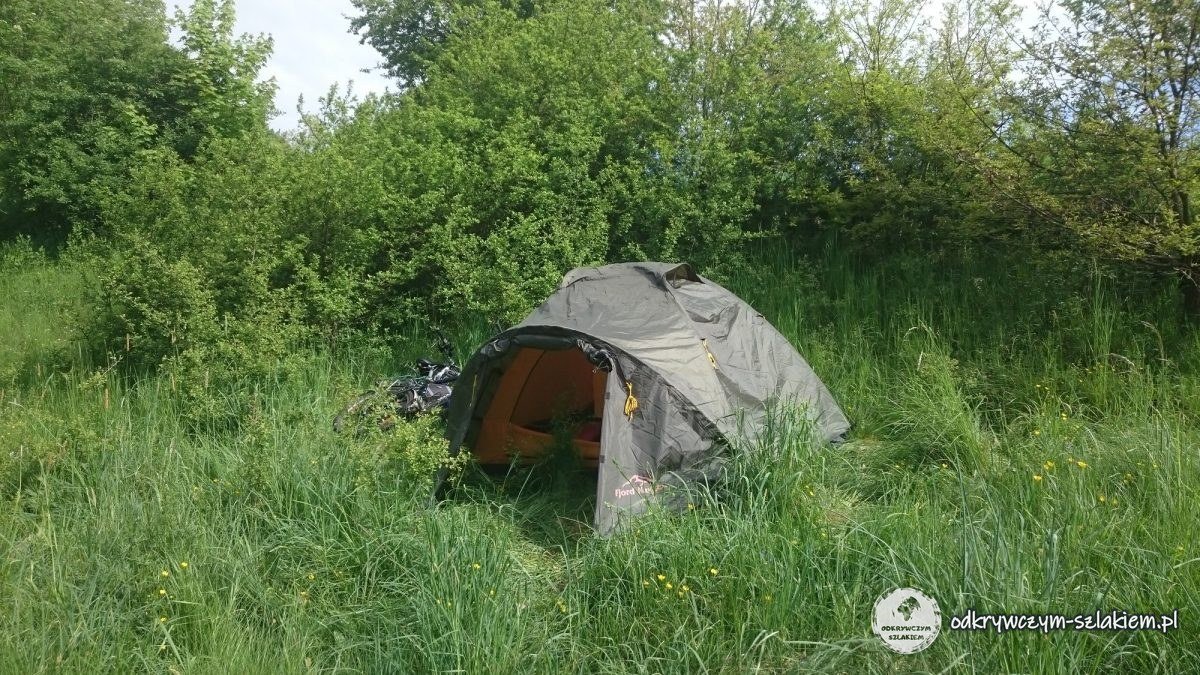 Namiot rozbity w wysokiej trawie na skraju lasu za wsią Bądze, rano