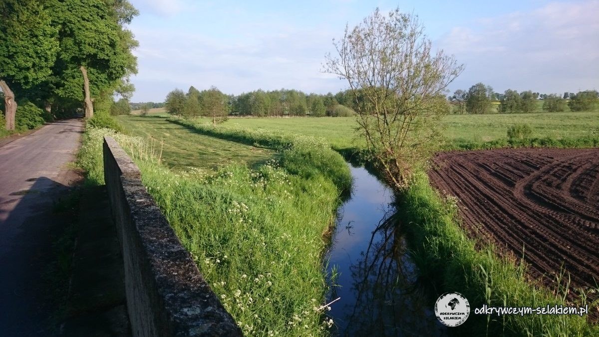 Rów melioracyjny między łąką a zaoranym polem w okolicy Krasnej Łąki