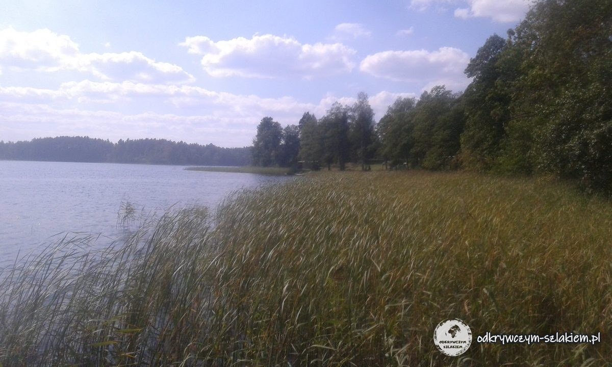 See mit Schilfgürtel am Ufer und Wald am anderen Ufer, bei Giby