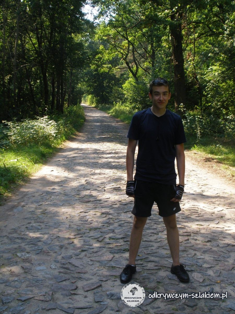 Ein Radfahrer auf einem gepflasterten Waldweg zwischen Nikolaiken und Lötzen