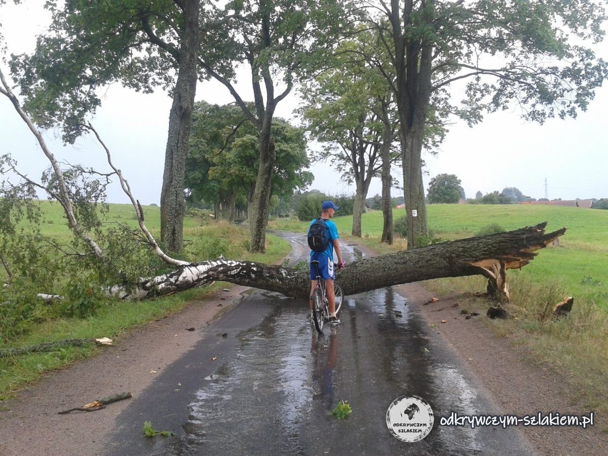 Tomek mit Rad vor einem umgestürzten Baum quer über der nassen Straße zwischen Pupki und Jonkowo