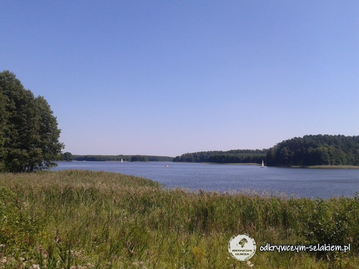 Ein See mit Schilf und Wald am anderen Ufer bei Wikno