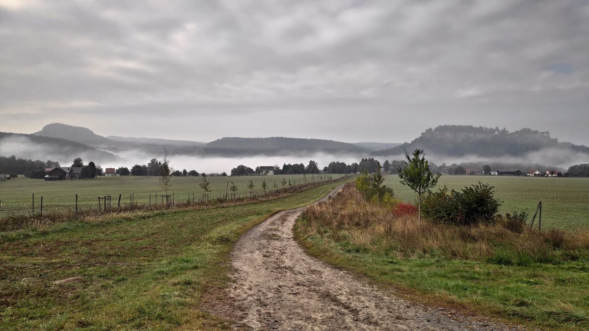 Polna droga pod Lilienstein, w tle twierdza Königstein
