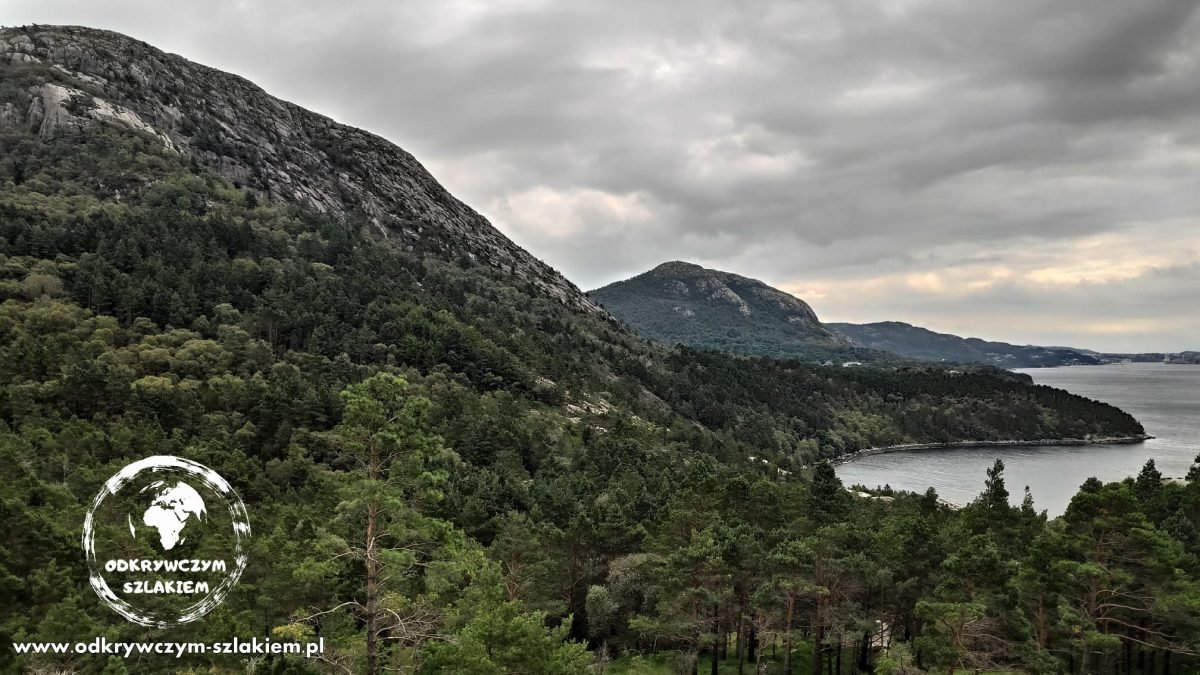 Widok ponad lasem na zbocza i fjord w drodze na Lifjell