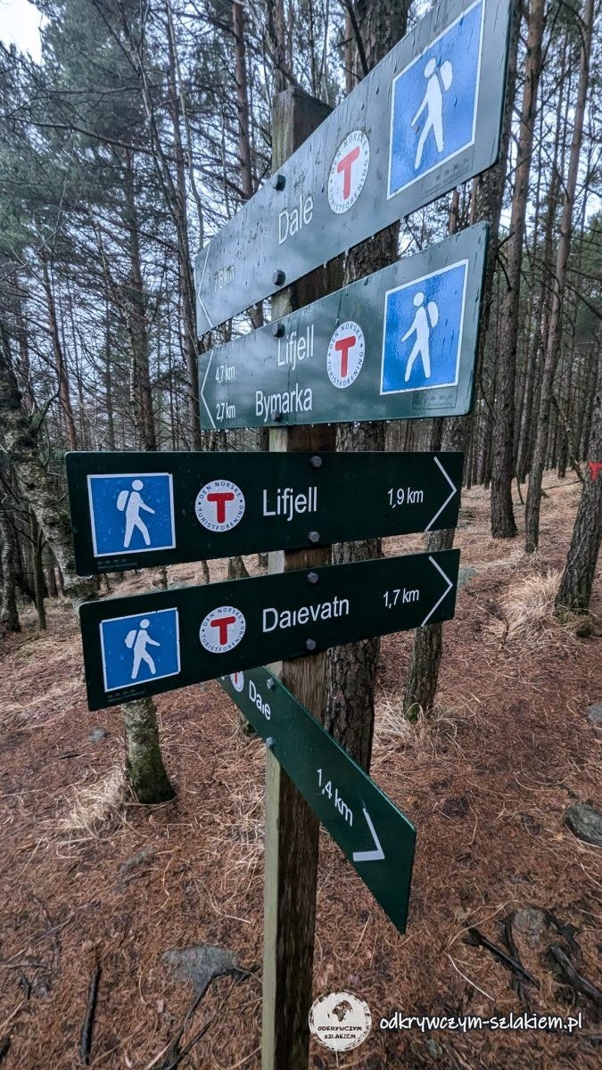 Drogowskazy szlaków na Lifjell i nad jezioro Dalevatn w lesie nad Dale