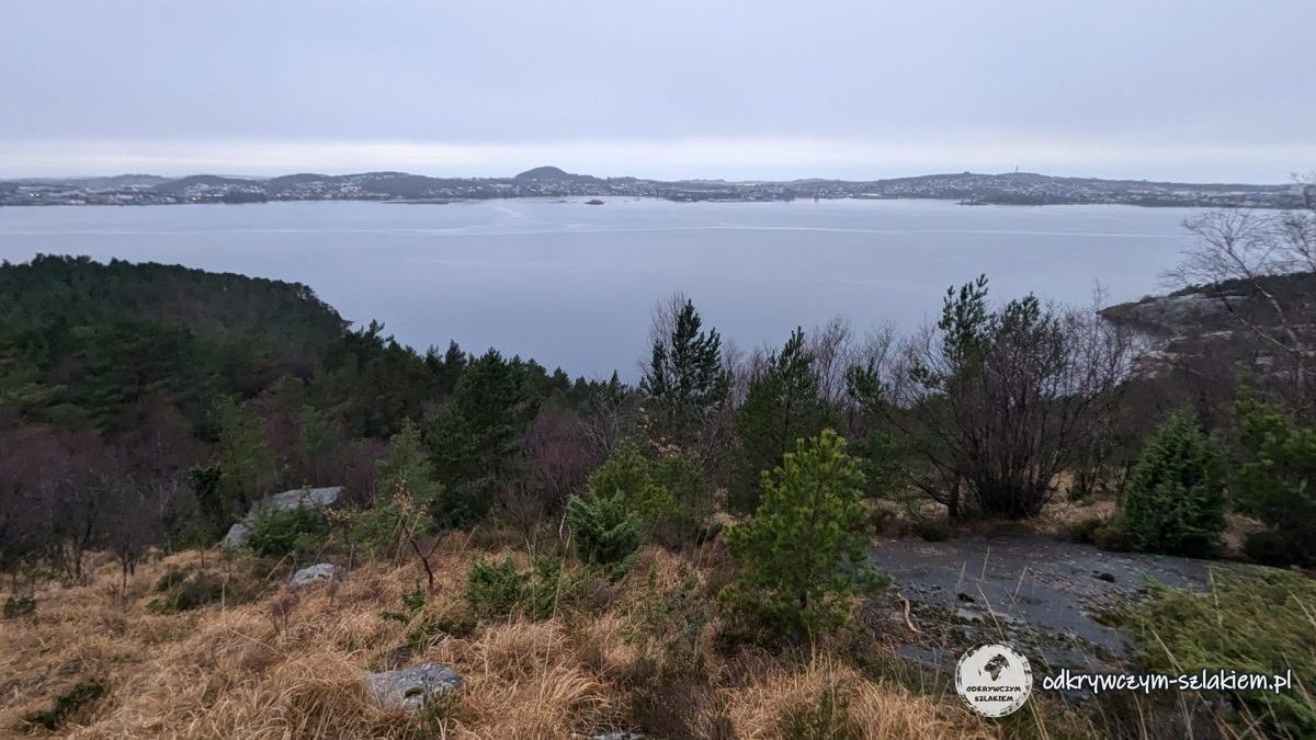 Widok na fjord ponad lasem na szlaku nad Dale