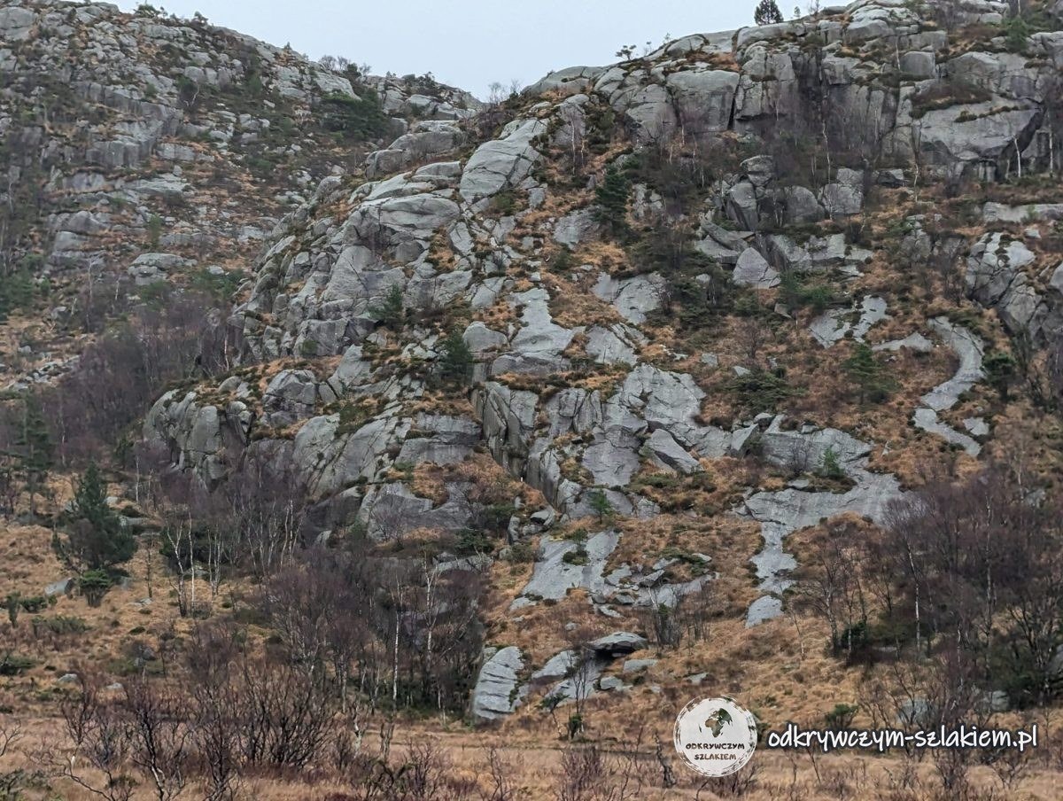 Granitowe skały i krzewy na zboczu góry nad Dale