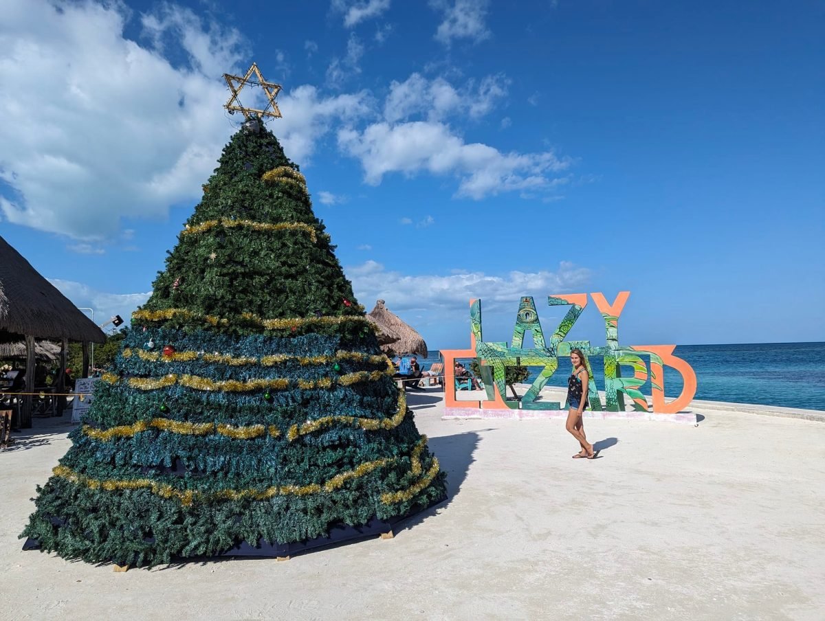 Choinka na plaży przy barze Lazy Lizard na wyspie Caye Caulker w Belize