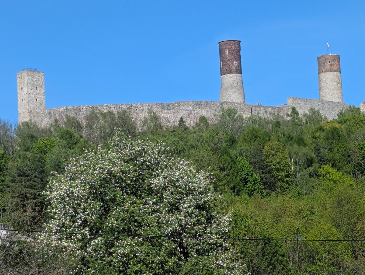 Mury i wieże zamku w Chęcinach nad kwitnącymi drzewami na zboczu wzgórza