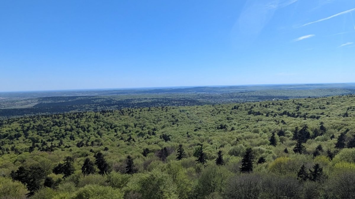Panorama zielonych lasów Gór Świętokrzyskich z Łysej Góry