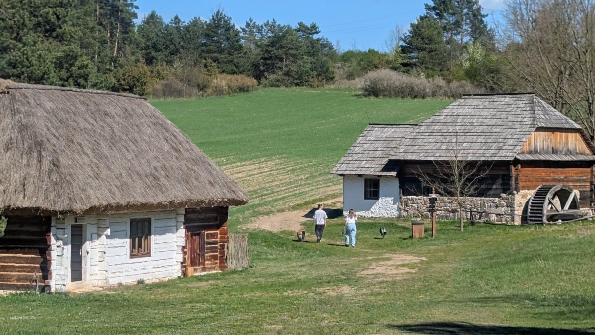 Chaty i młyn wodny wśród zielonych łąk w skansenie w Tokarni