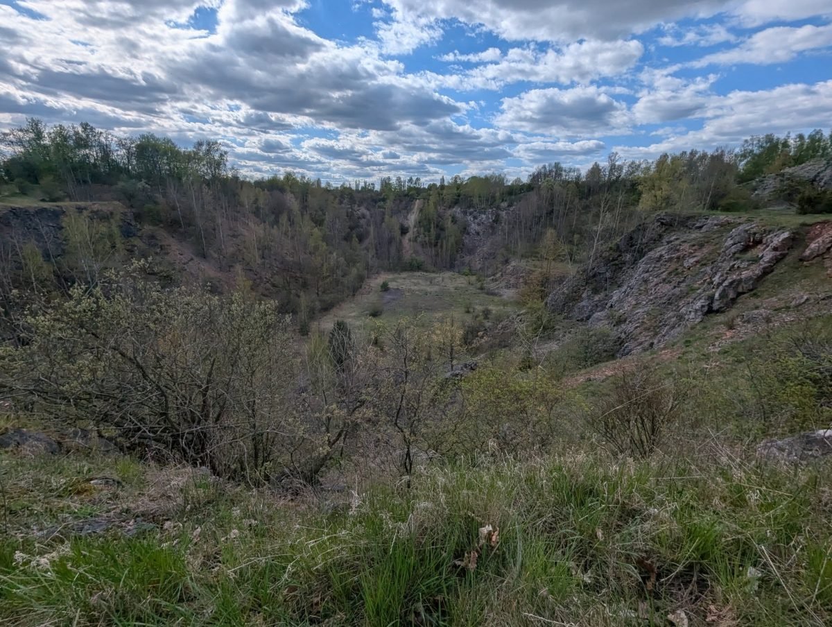 Skalne ściany i zarośla w dawnym kamieniołomie w rezerwacie Wietrznia w Kielcach