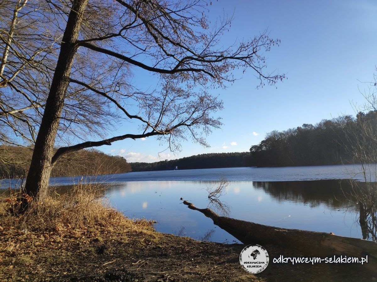 Lago Głębokie en Szczecin en un día soleado de febrero, con un árbol sin hojas en la orilla