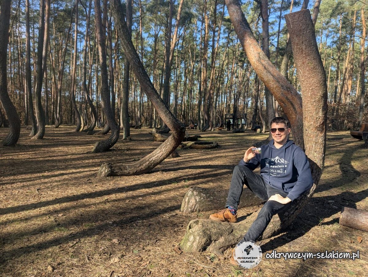 Maciek sentado en el tronco curvado de un pino en el Bosque Torcido