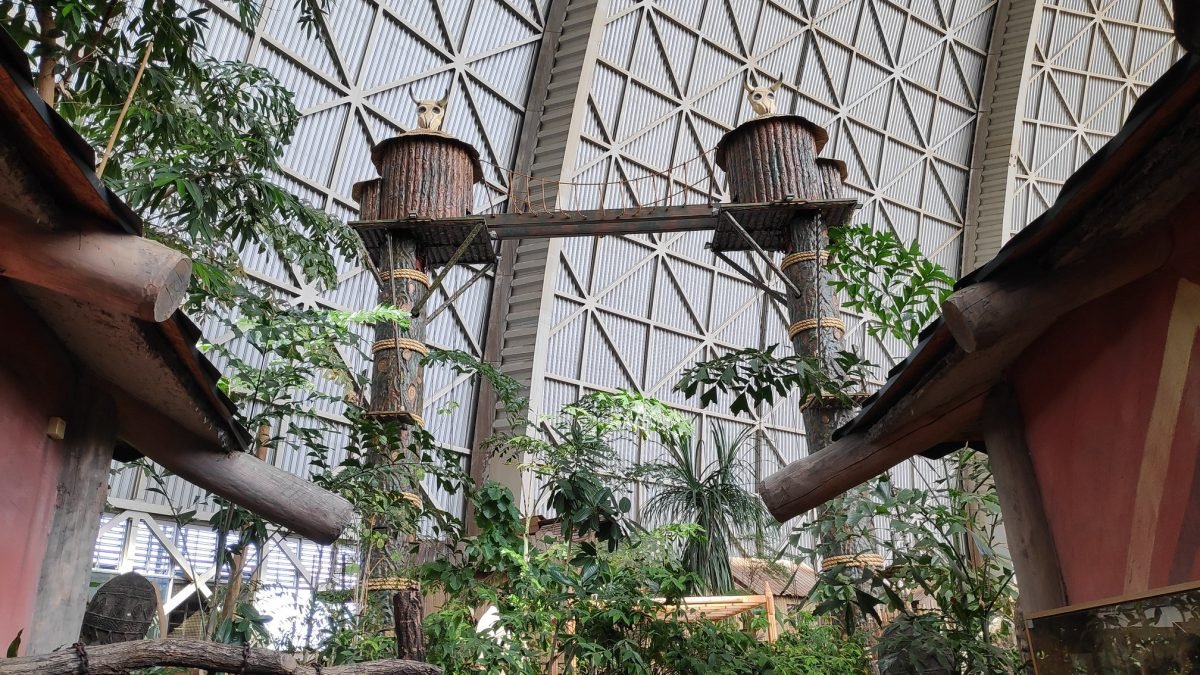 Drewniane budki na wysokich palach wśród tropikalnych roślin – Tropical Islands