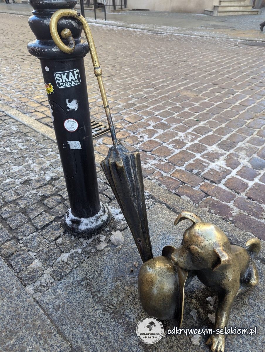 Escultura de bronce del perro Filuś con el paraguas del profesor Filutek en la calle Chełmińska