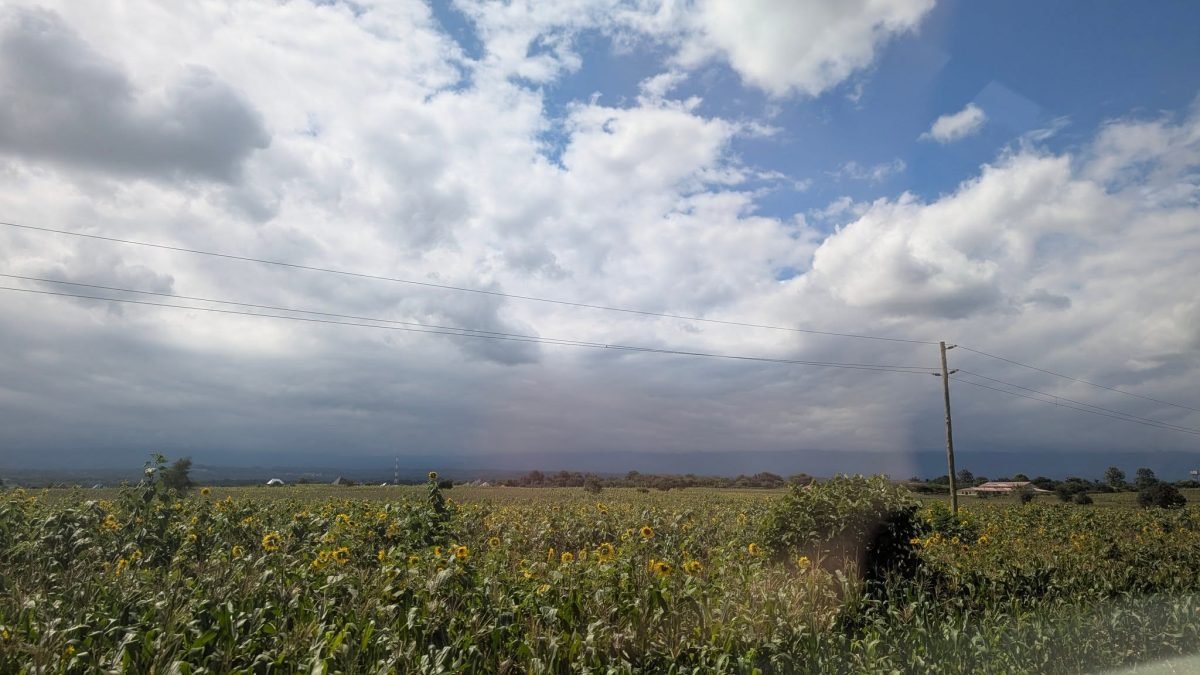 Pola uprawne pod ciężkimi chmurami, w których schowały się Meru i Kilimandżaro