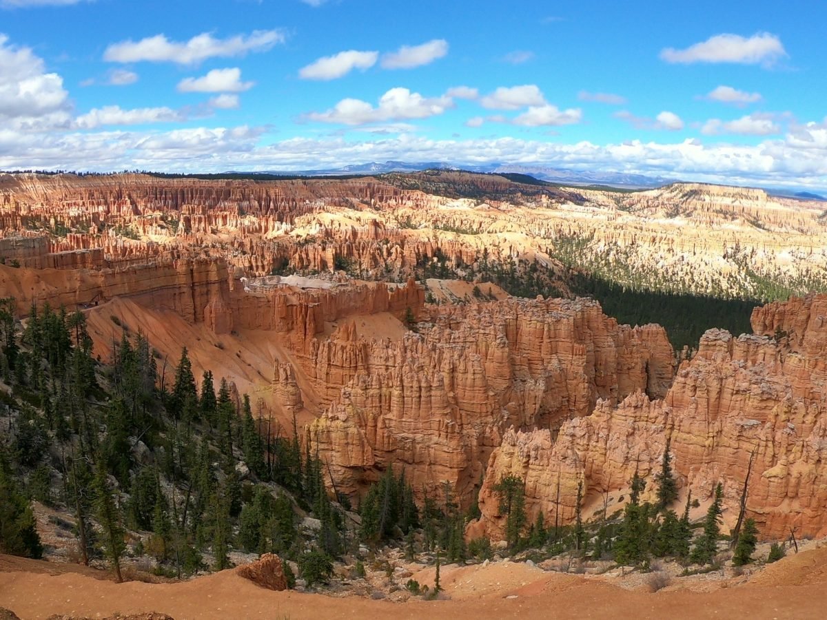 Skalne iglice (hoodoos) w amfiteatrze Parku Narodowego Bryce Canyon