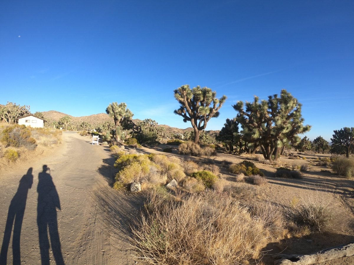 Poranek na kempingu w Parku Narodowym Joshua Tree