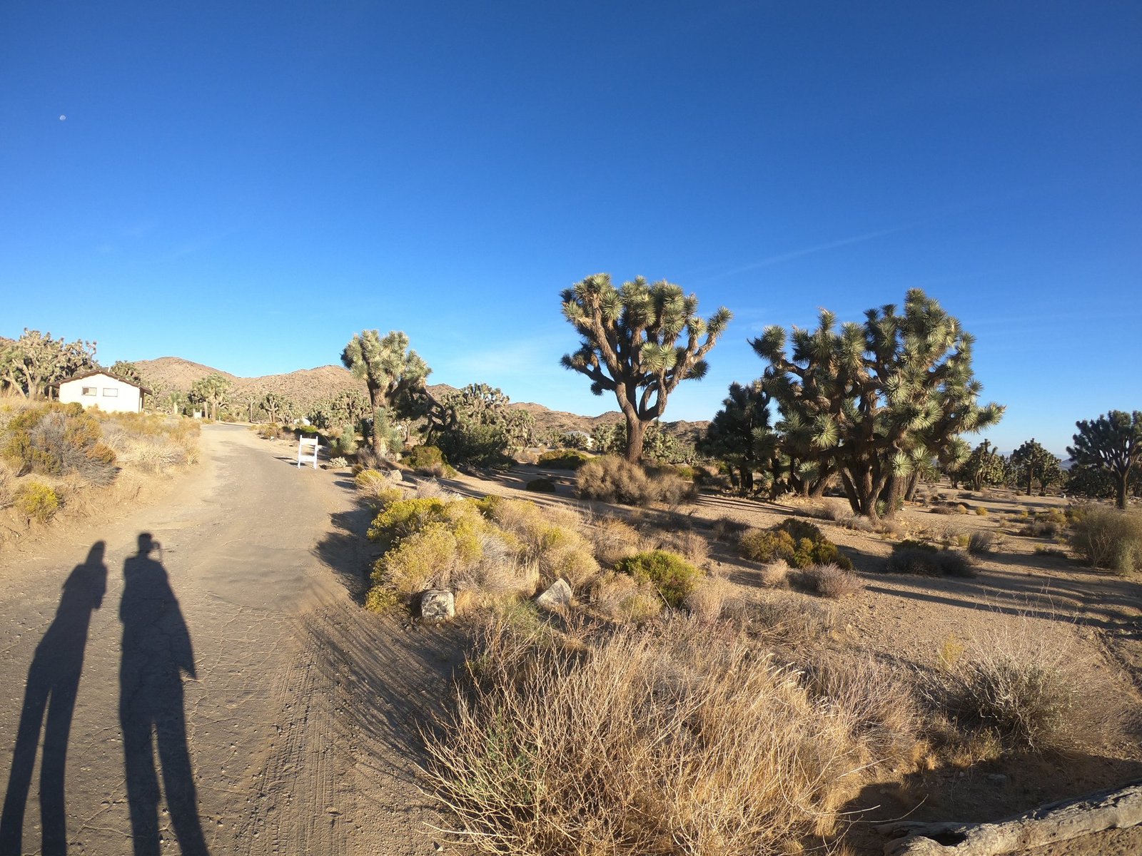 Poranek na kempingu w Parku Narodowym Joshua Tree