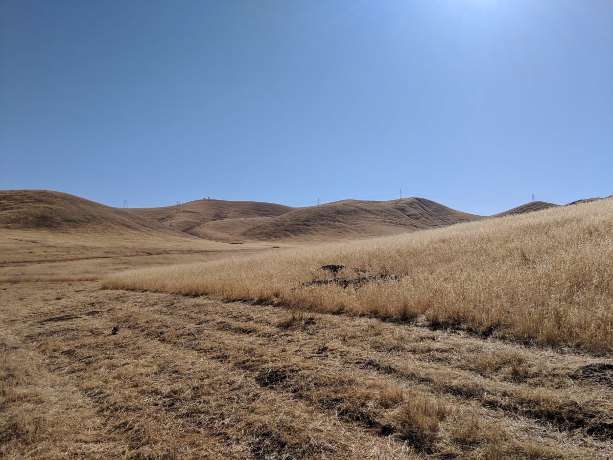 Suche, trawiaste wzgórza przy kempingu w okolicy San Luis Reservoir w Kalifornii