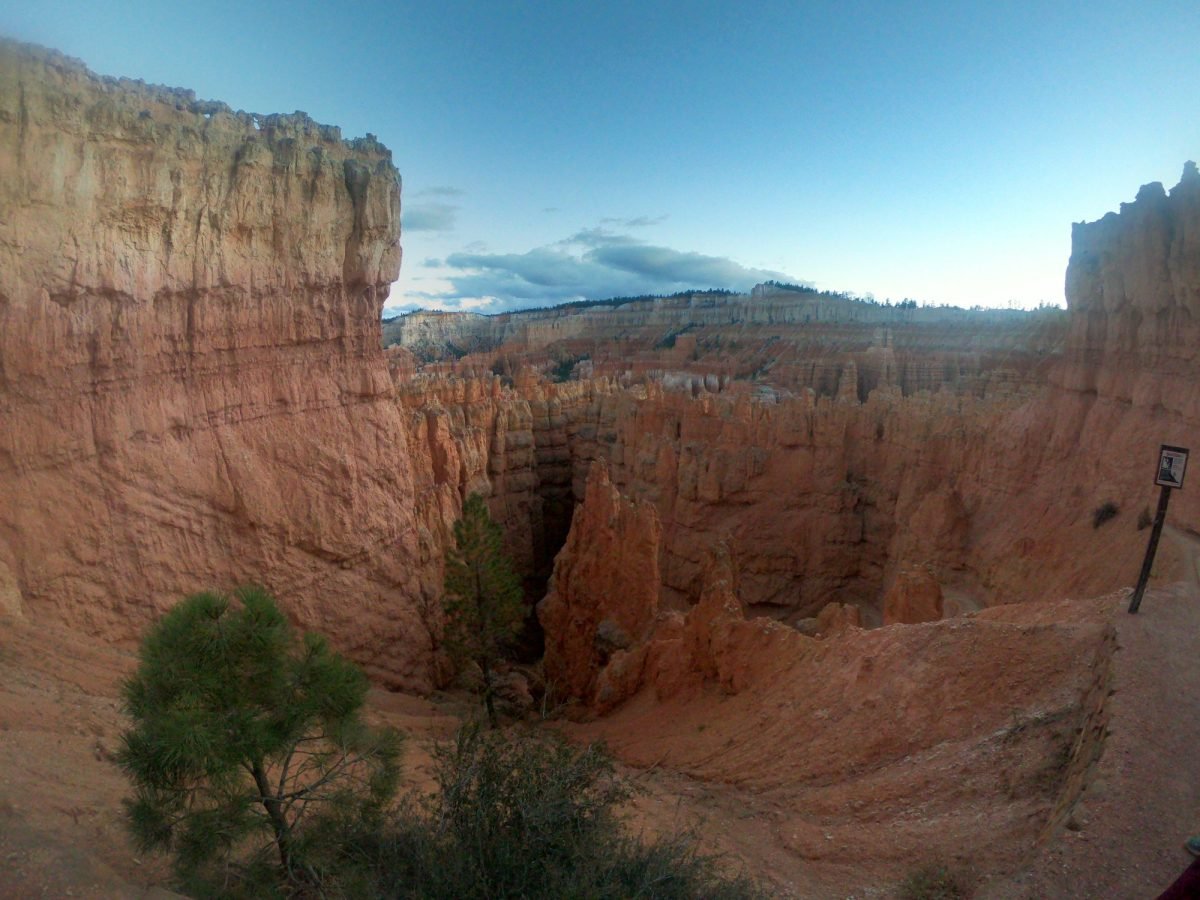 Widok z dna kanionu na skalne ściany w Bryce Canyon