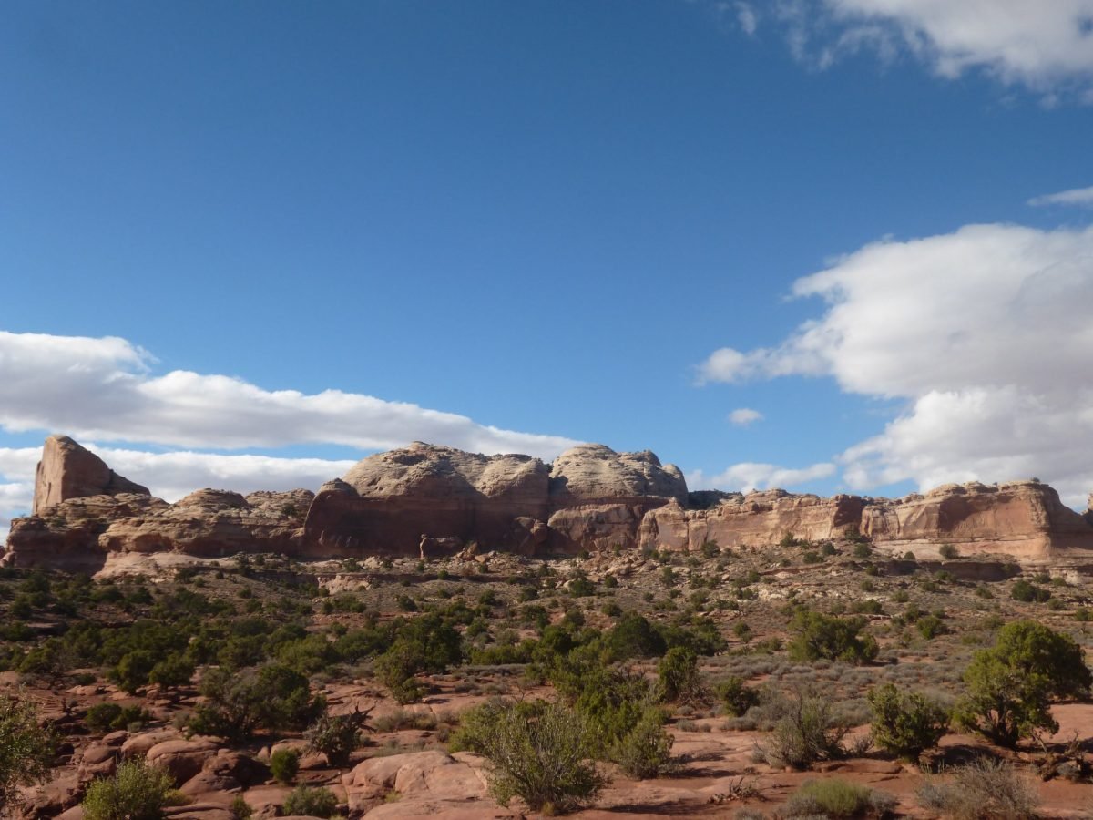 Skały i krzewy na płaskowyżu w Canyonlands