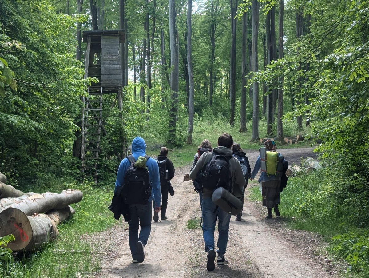 Uczestnicy idą leśną drogą obok ambony myśliwskiej drugiego dnia marszu