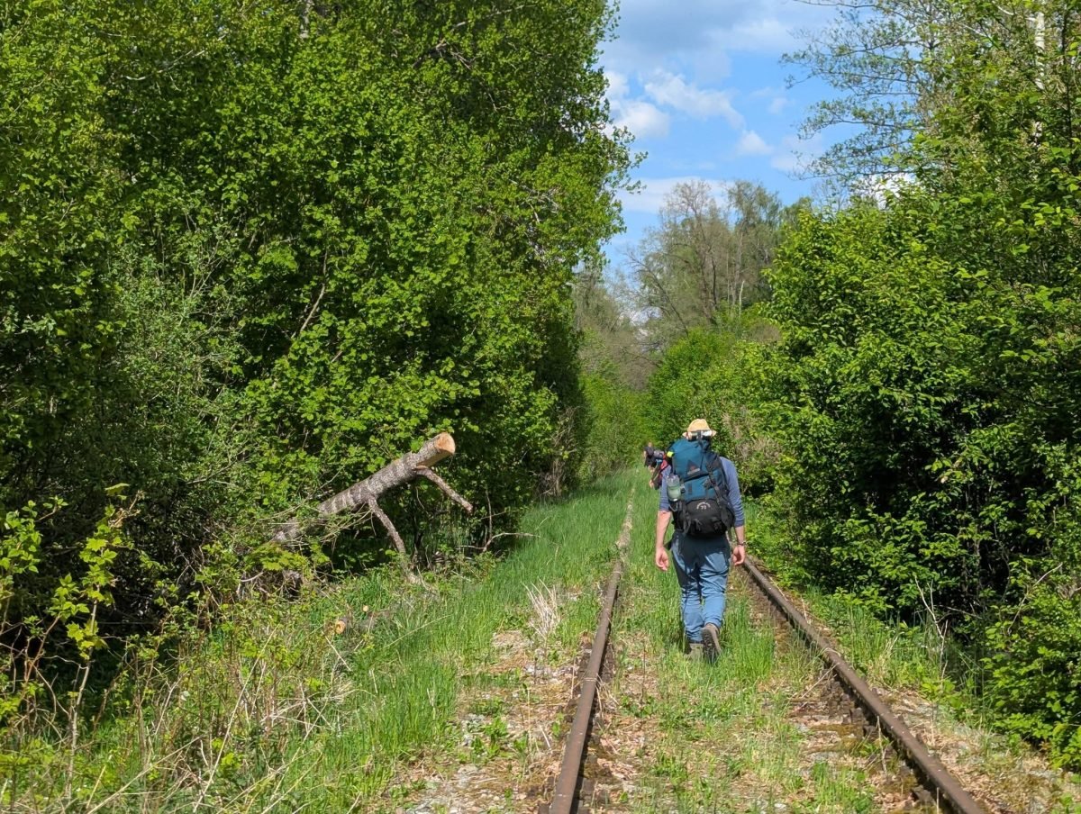 Marsz po zarośniętych torach starej linii kolejowej przez zielony las