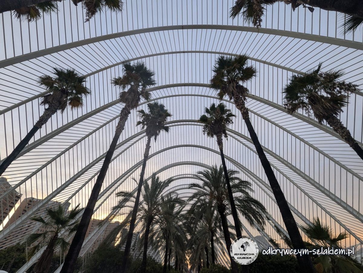 Palmy pod łukami L'Umbracle w Walencji