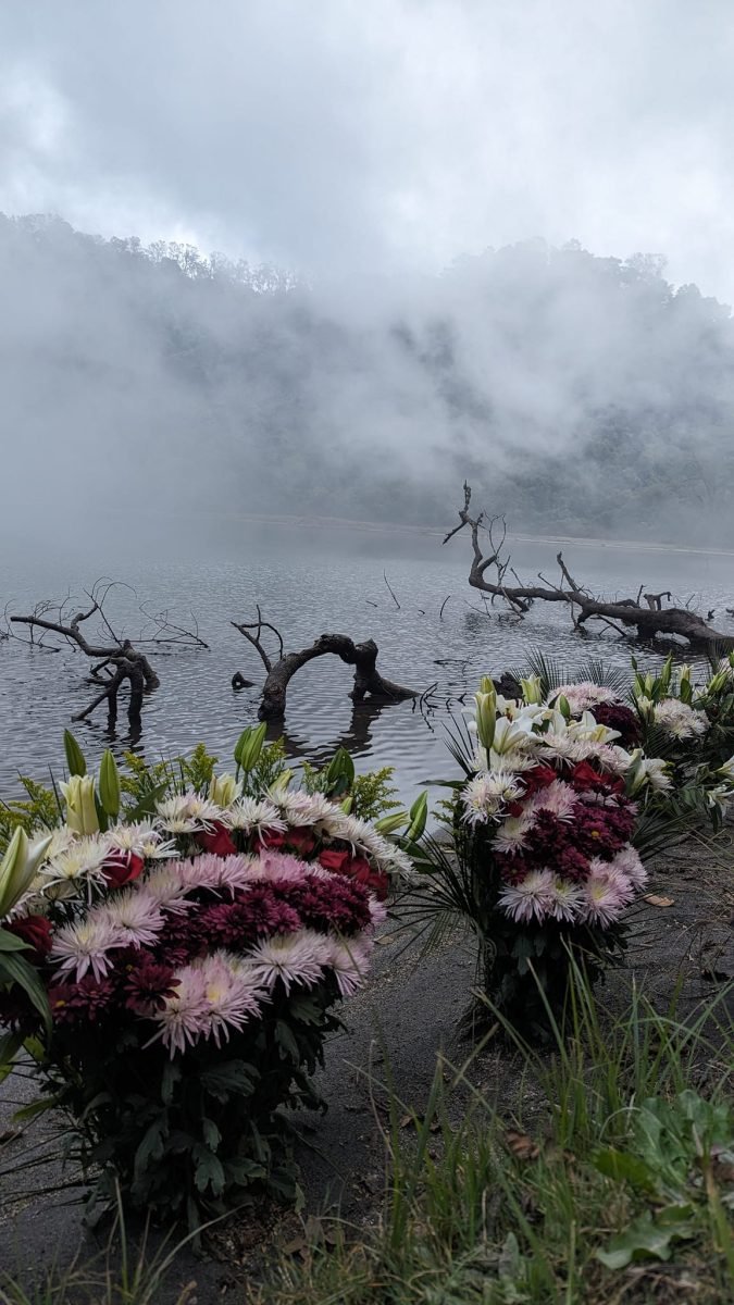 Mgła nad laguną Chicabal, zatopione pnie drzew i kwiaty na brzegu