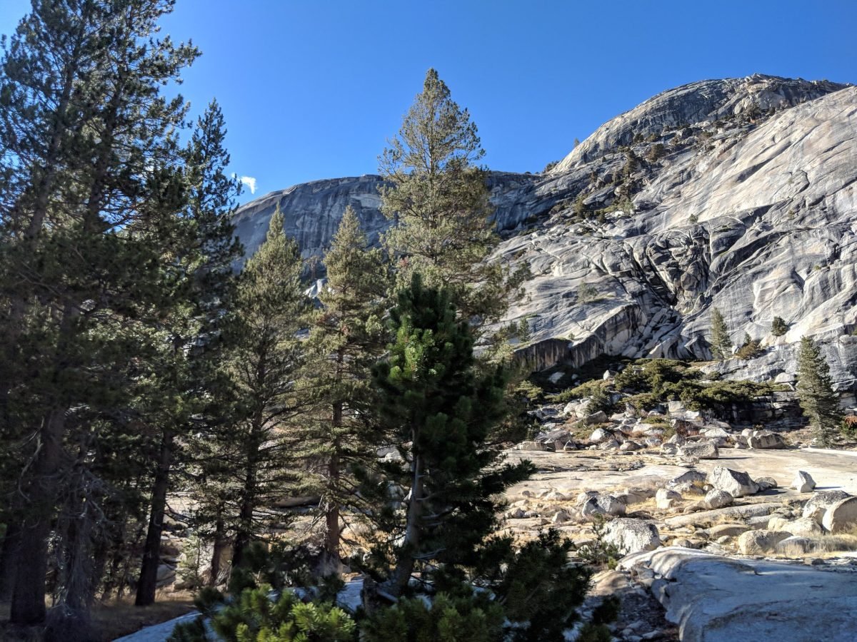 Granitowe zbocza i sosny w okolicy Sentinel Dome