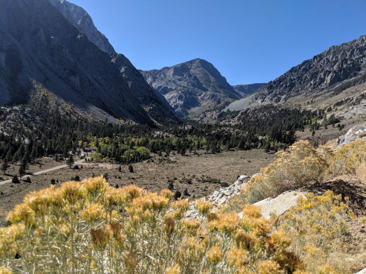 Droga Tioga Road – wjazd do Yosemite od północnego wschodu