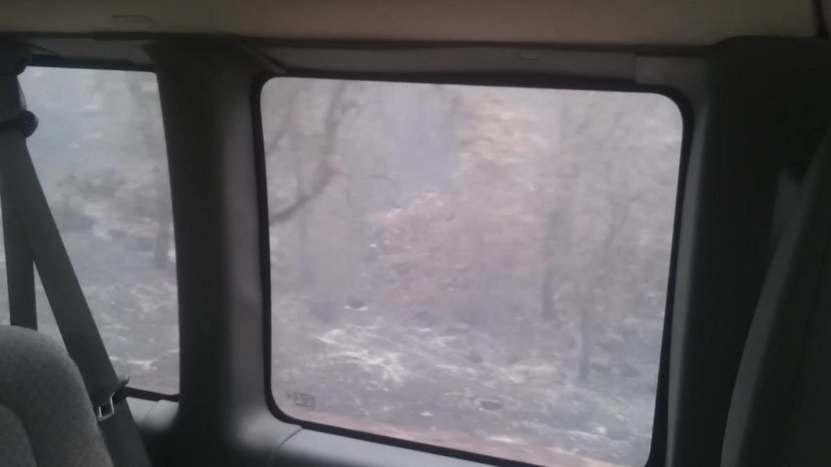 Spalony las za oknem vana w drodze z Yosemite do Mariposy