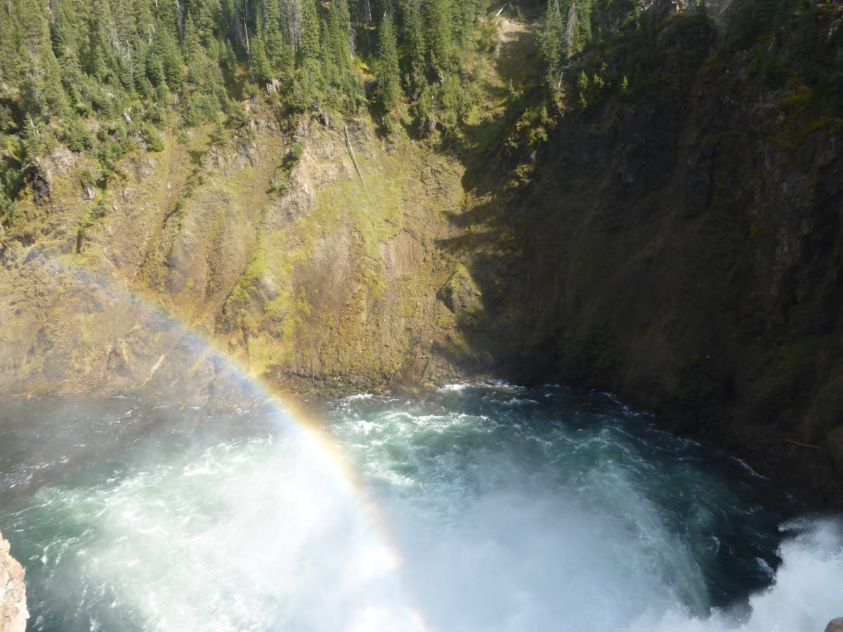 Tęcza nad wodospadem w Wielkim Kanionie Yellowstone