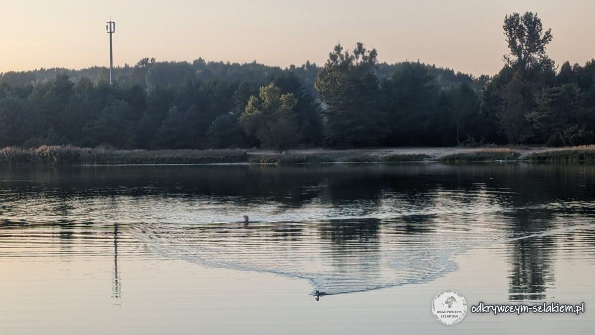 Der Stausee in Kostkowice bei Sonnenuntergang, Enten auf dem Wasser