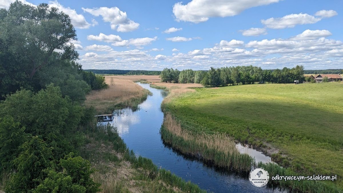Die gewundene Krutynia zwischen Wiesen und Schilf vom Aussichtsturm in Wojnowo aus gesehen